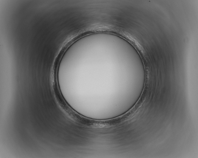X0000112030582200908031024