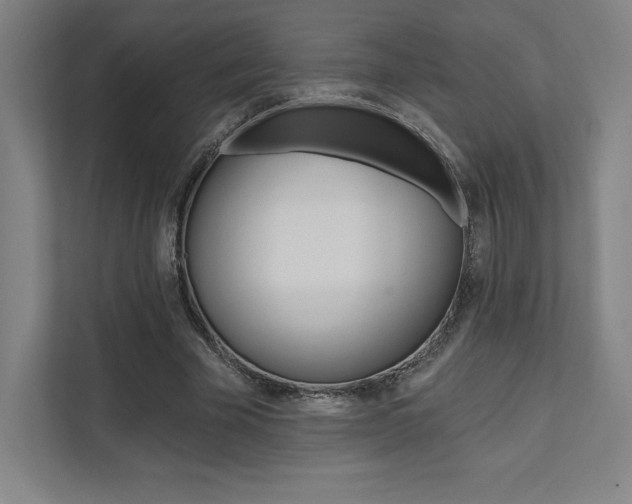 X0000112030585200908031024