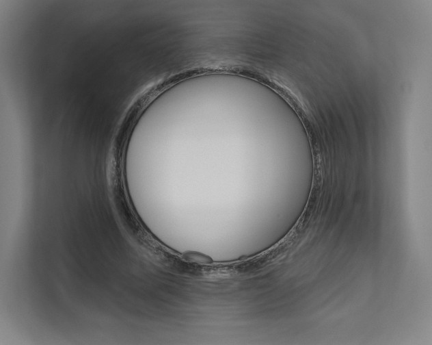 X0000112030587200908031024