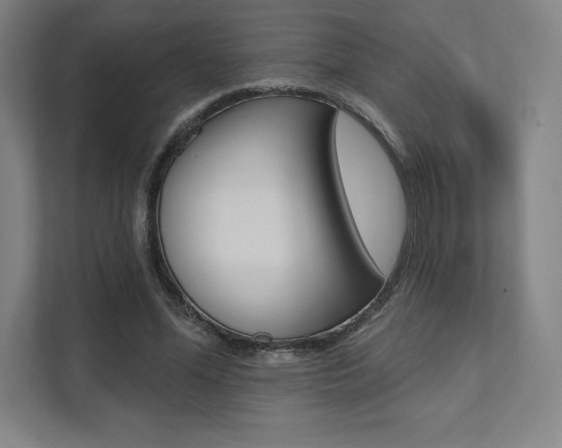 X0000112030588200908031024