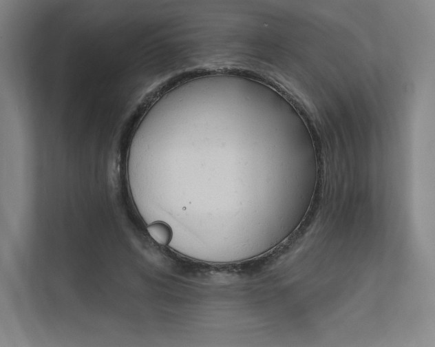 X0000112030592200908031024