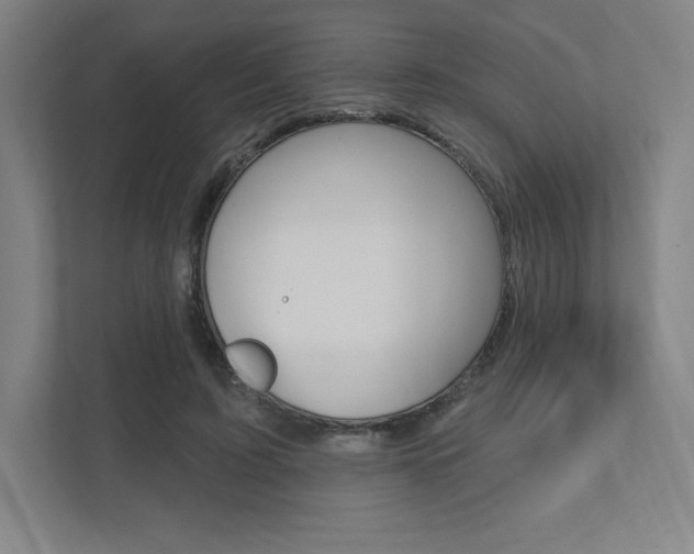 X0000112030595200908031024