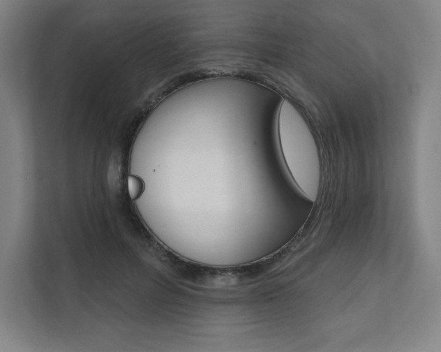 X0000112030600200908031024
