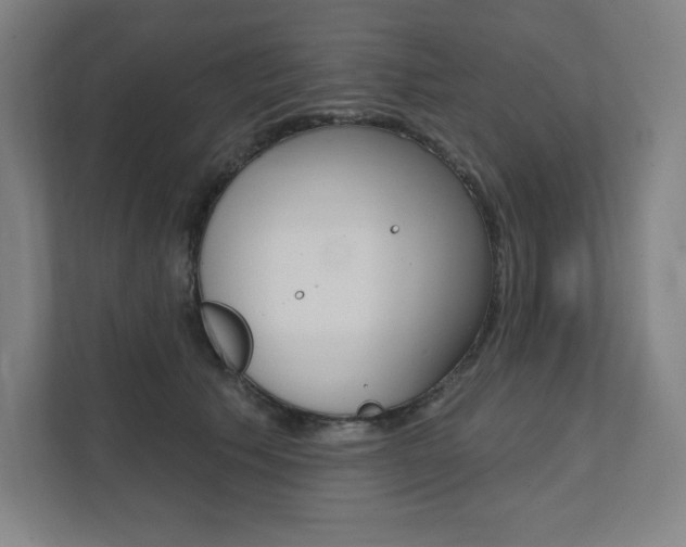 X0000112030609200908031023