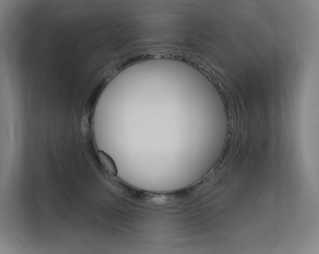 X0000112030611200908031023