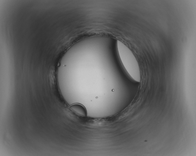 X0000112030612200908031023