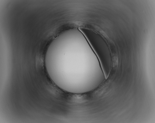 X0000112030613200908031023