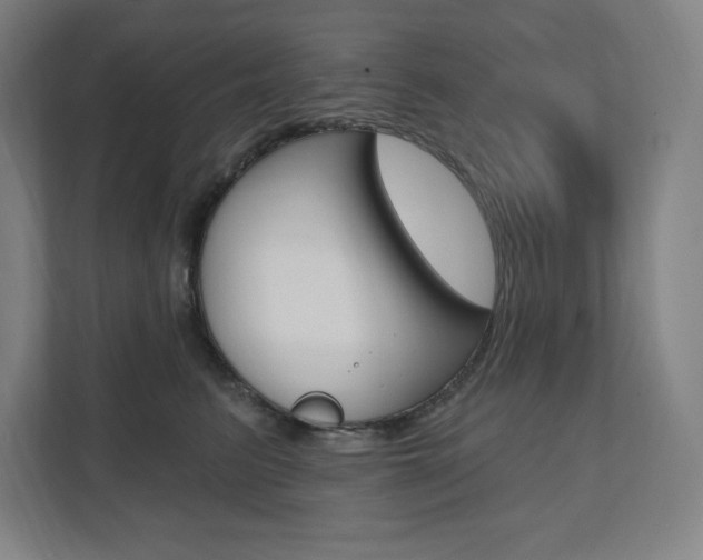 X0000112030615200908031023