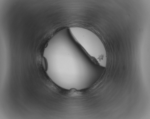 X0000112030617200908031023