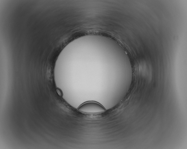 X0000112030619200908031023
