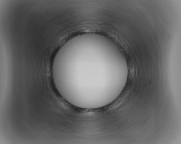 X0000112030620200908031023