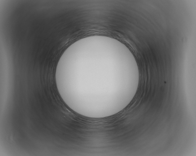 X0000112030621200908031023