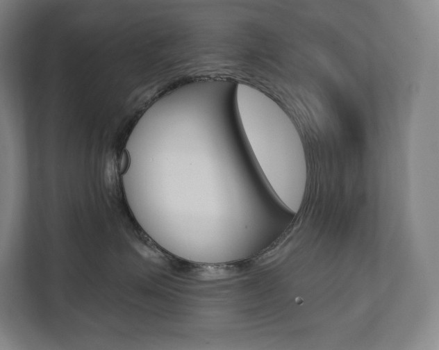 X0000112030623200908031023