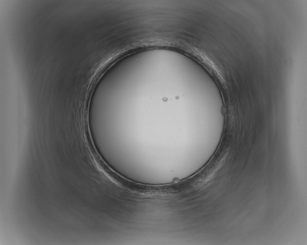 X0000112030625200908031023
