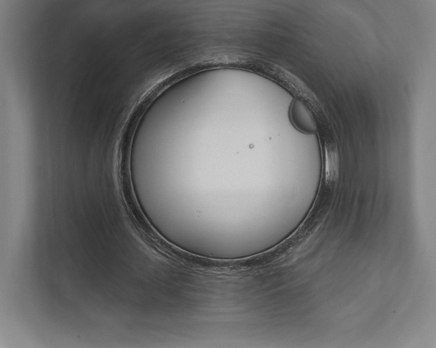 X0000112030627200908031023