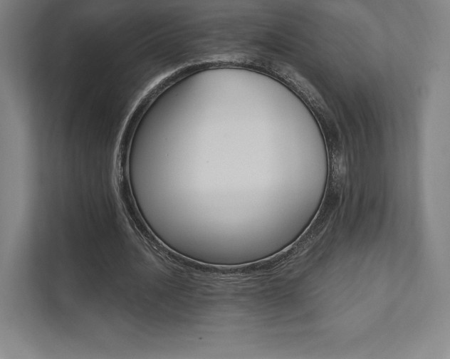 X0000112030628200908031023