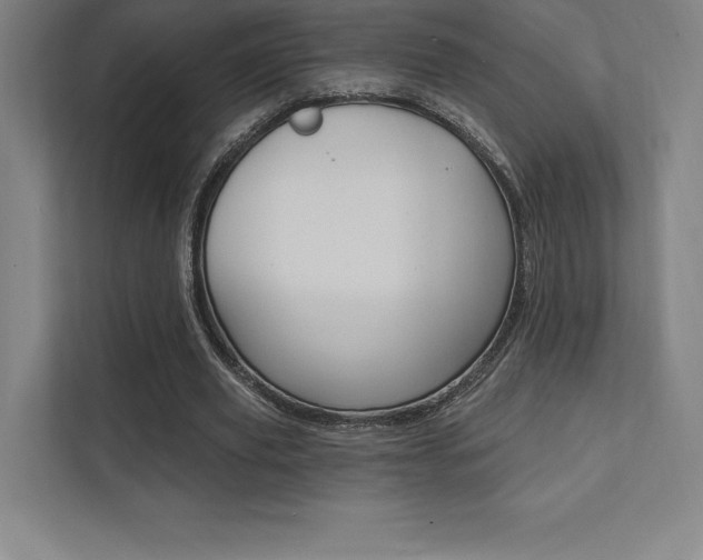 X0000112030629200908031023