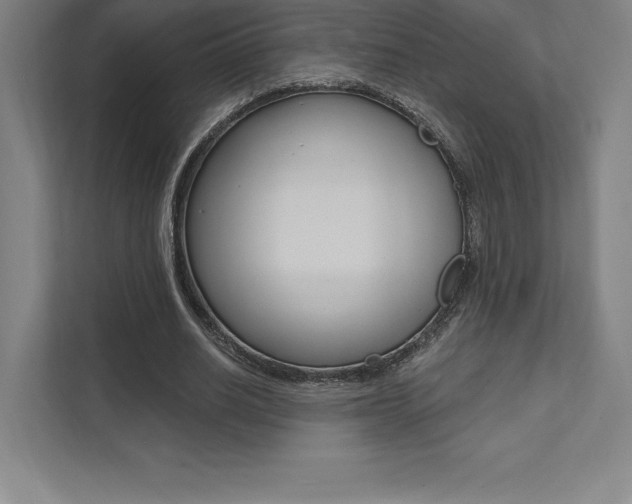 X0000112030630200908031023
