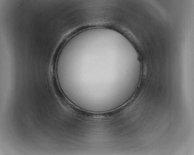 X0000112030636200908031023