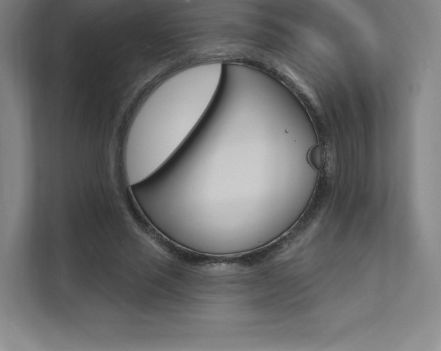 X0000112030637200908031023
