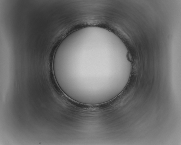 X0000112030639200908031023