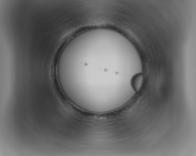 X0000112030640200908031023