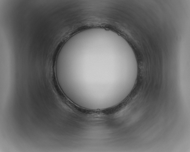 X0000112030642200908031023