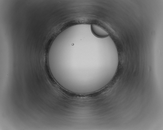 X0000112030645200908031023
