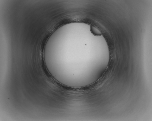 X0000112030646200908031023