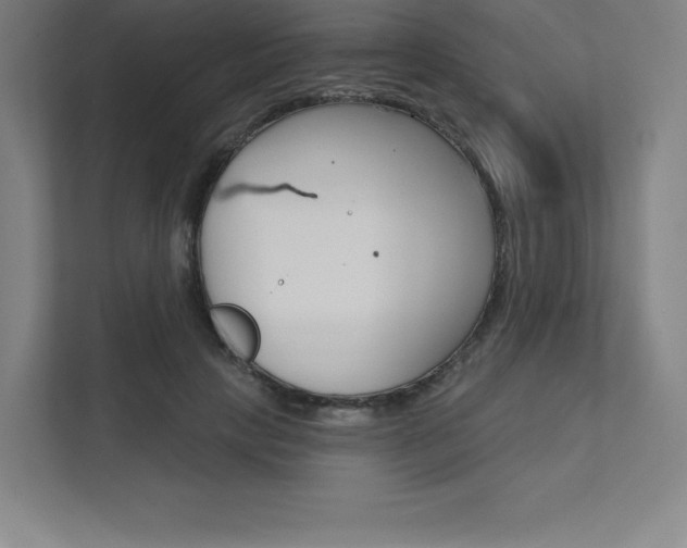 X0000112030649200908031023