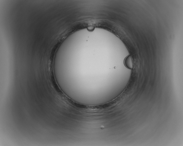 X0000112030650200908031023