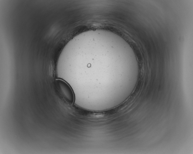 X0000112030651200908031023
