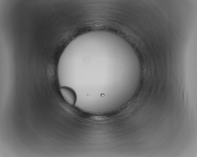 X0000112030654200908031023