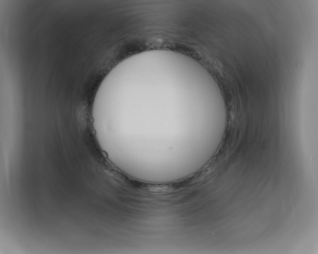 X0000112030659200908031023