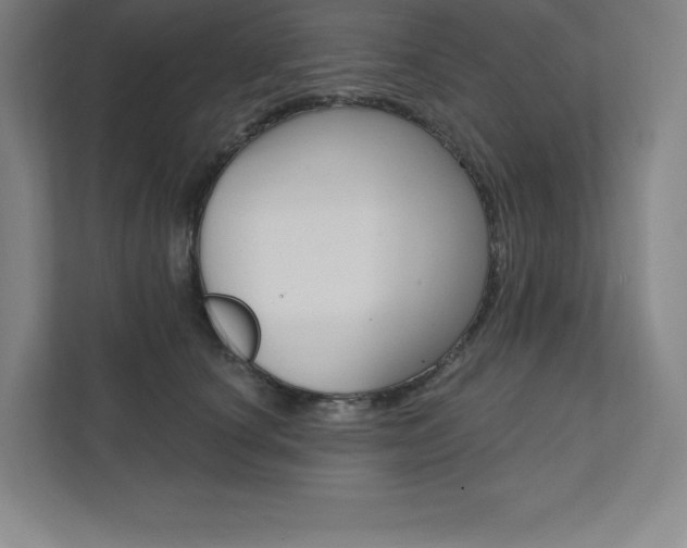 X0000112030660200908031023