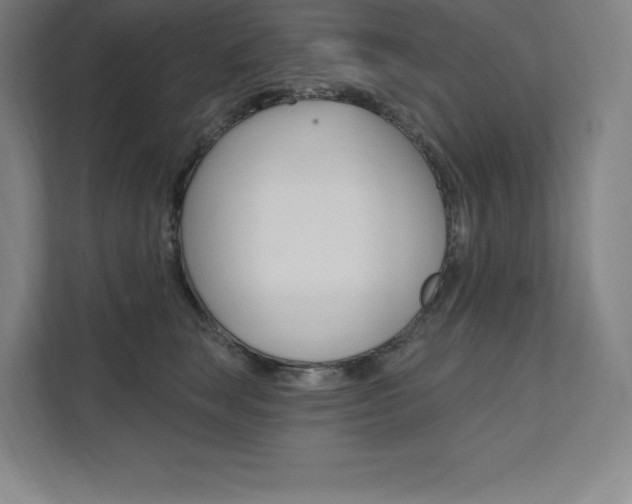 X0000112030663200908031023