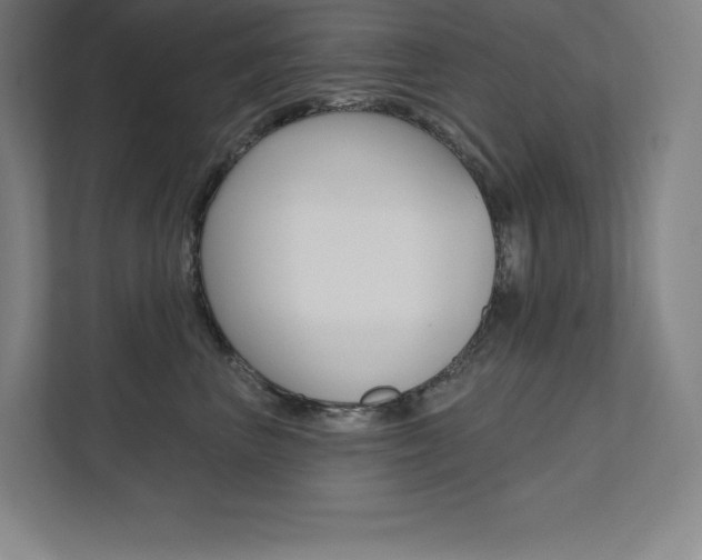 X0000112030667200908031023