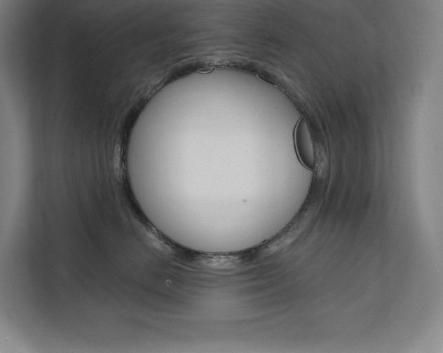 X0000112030670200908031023