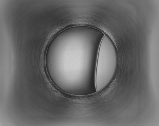X0000112030673200908031023