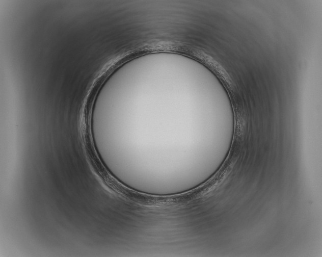 X0000112030674200908031023