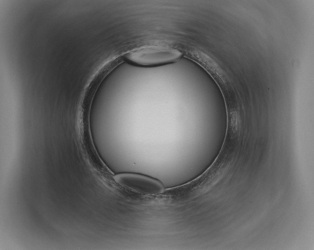 X0000112030676200908031023