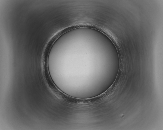 X0000112030680200908031023