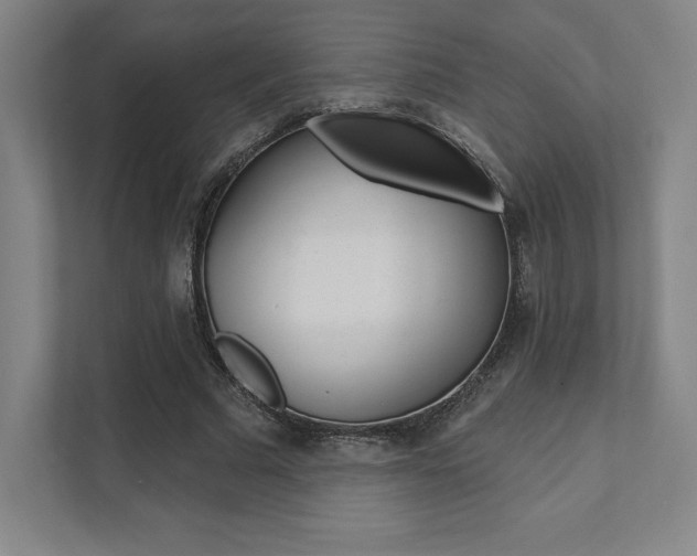 X0000112030681200908031023