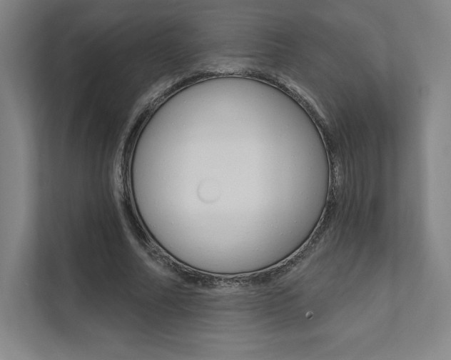 X0000112030682200908031022