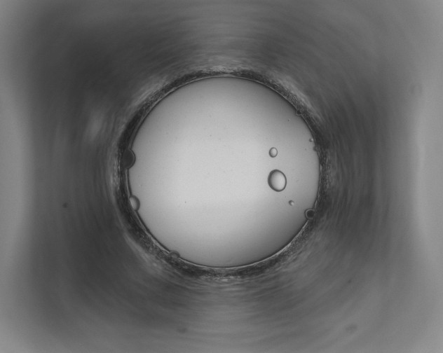 X0000112030683200908031022