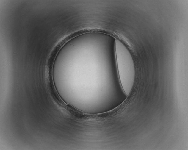 X0000112030684200908031022
