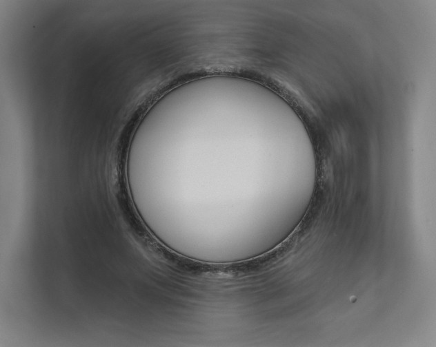 X0000112030687200908031022