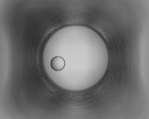 X0000112030688200908031022