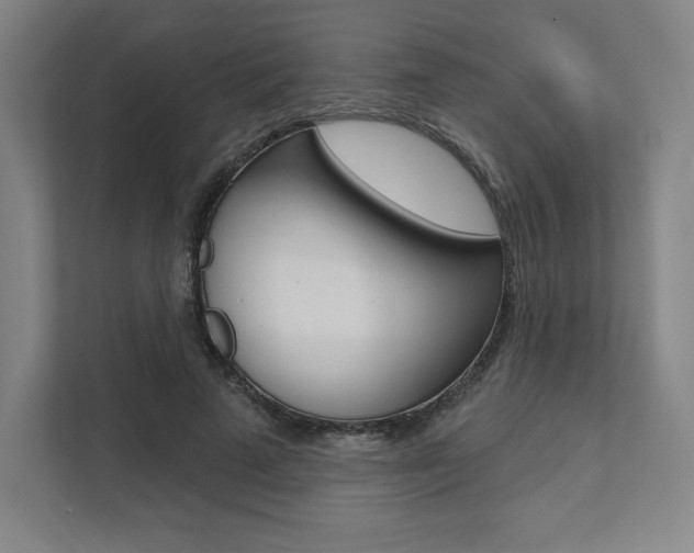 X0000112030689200908031022