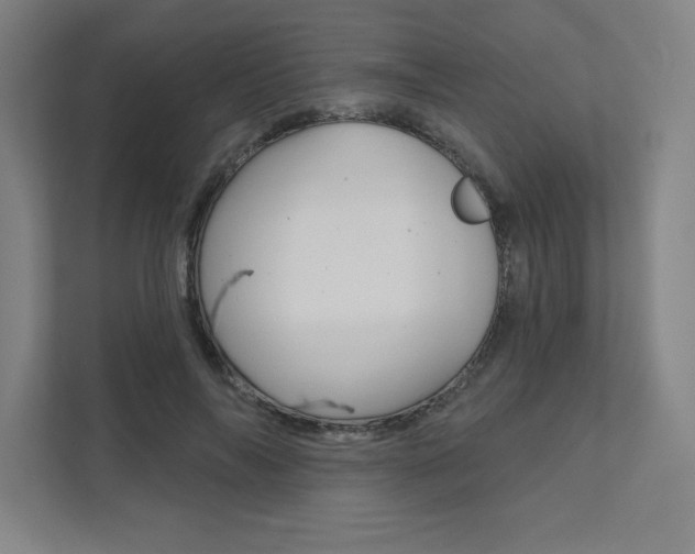 X0000112030694200908031022